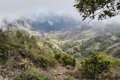 240303 La Gomera 5549