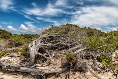 180722 Landschaft 0549