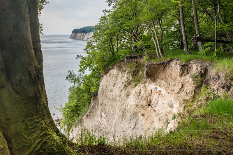 190601 Jasmund 4555