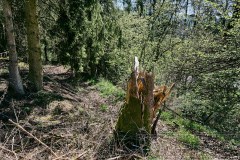 250501 Sauerland 0434