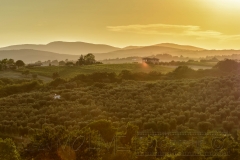 Landschaft ,toskana,maremma,licht,stimmung