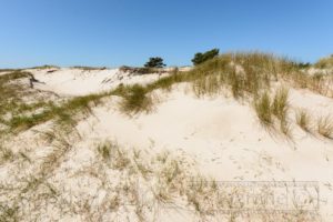 duenen,strand,kueste,wasser,himmel,blau