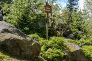 Felsen,harz,natur,kaesteklippe