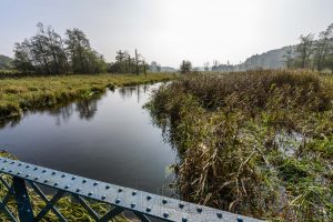 Eider,eidertal,landschaft,wasser