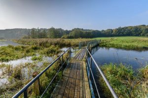 Eidertal,bruecke,blau,landschaft