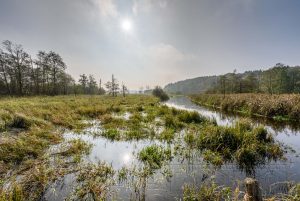 Eidertal,sonne,gegenlicht,landschaft