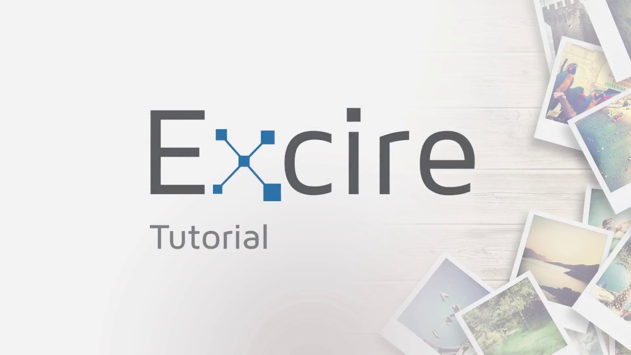 Excire search