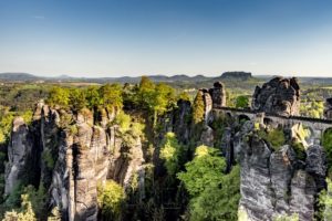 wald,baeume,landschaft,natur,saechsische schweiz,bastei