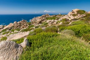 Sardinien,felsen,steine,kueste,meer,landschaft,natur