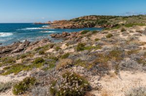 Kueste,Landschaft,Sardinien,meer,natur,felsen