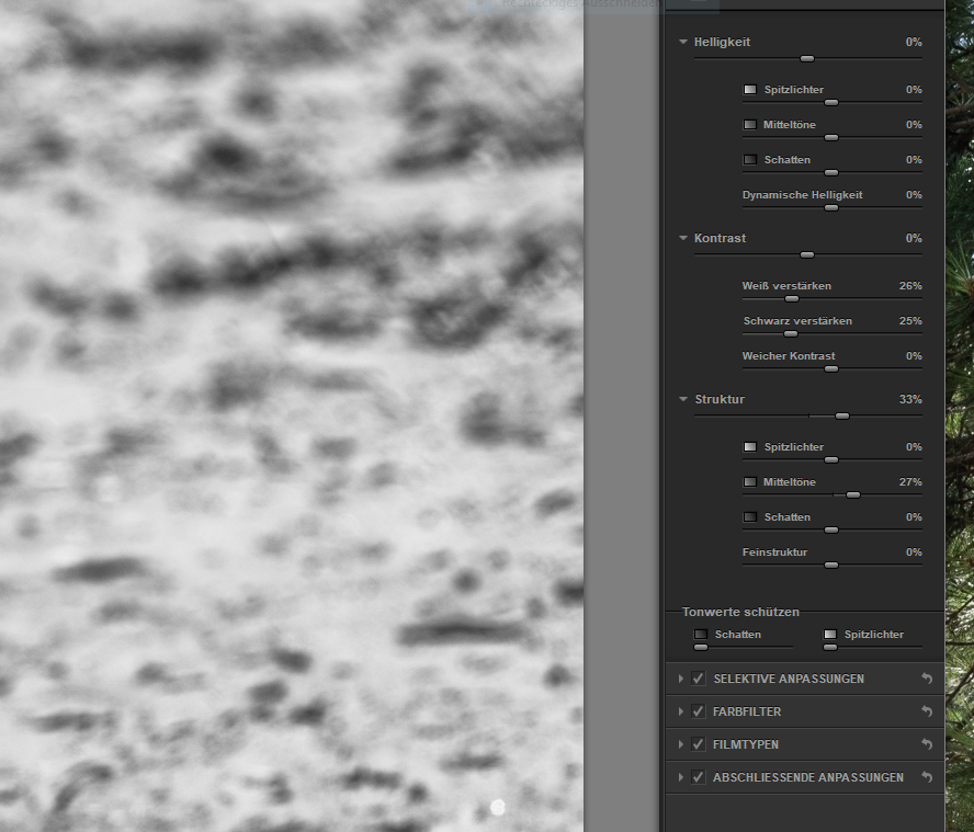 Screenshot Nik Silver Efex,Schwarzweiss