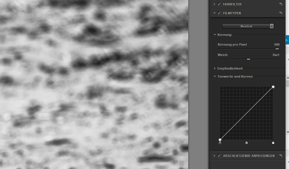 Screenshot Nik Silver Efex,Schwarzweiss