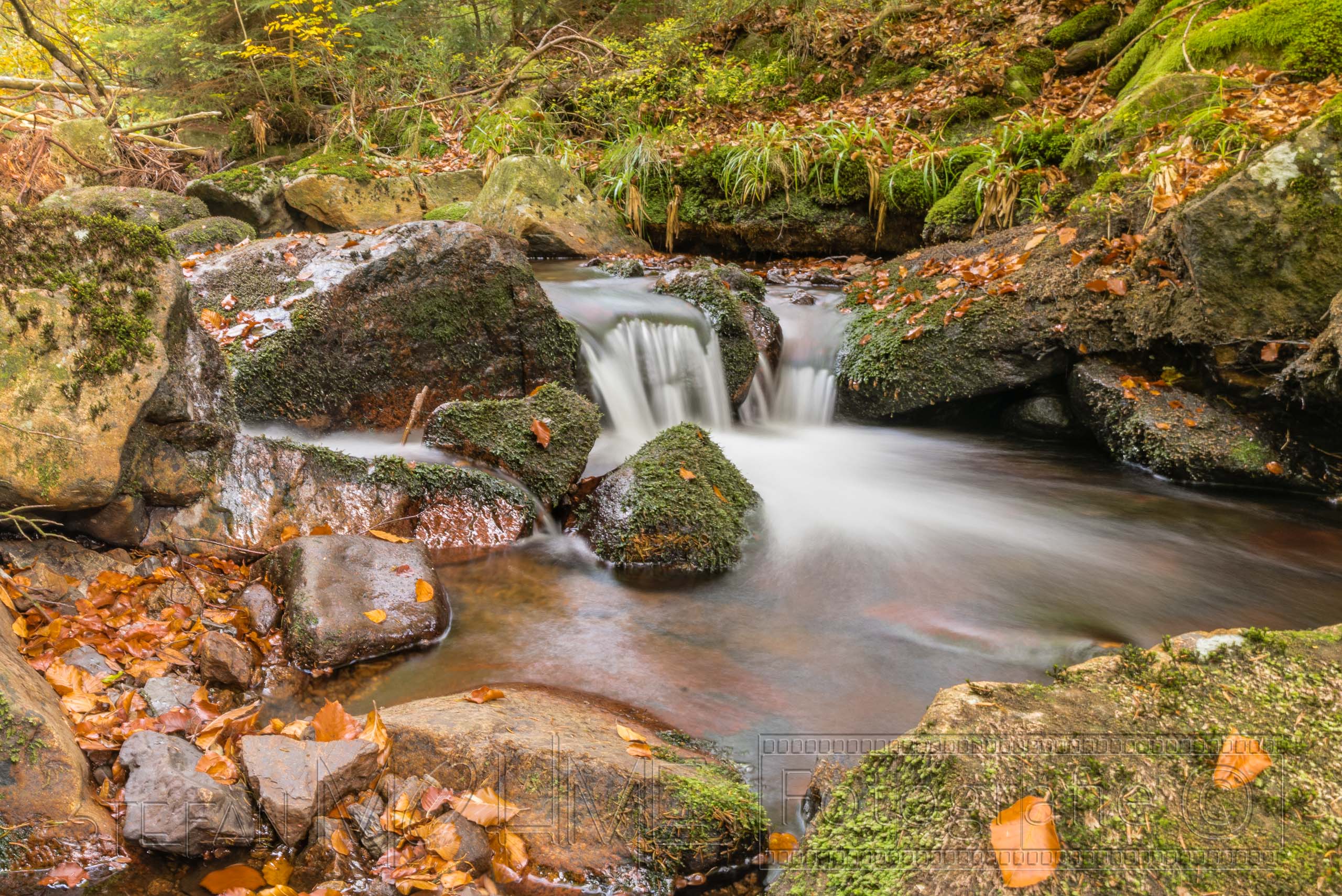 harz,landschaft,natur,,wald,baeume,blaetter,wasser,fluss,graufilter,langzeitbelichtung