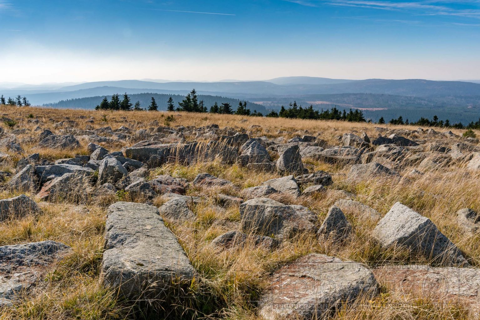 harz,landschaft,brocken, natur,berge