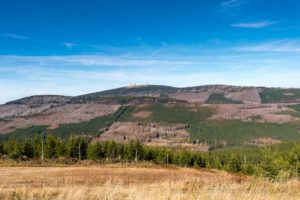 harz, brocken,gipfel,wald,himmel,blau
