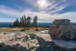 wurmberg,felsen,stein,natur,landschaft,harz