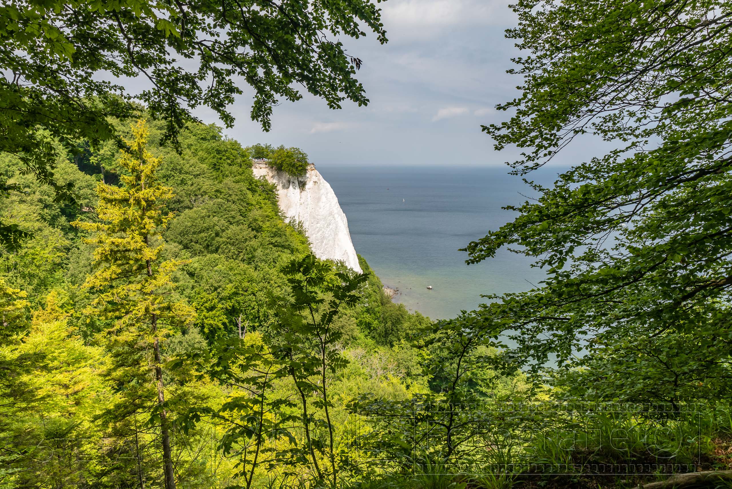 Rügen, Jasmund Nationalpark kleine Rundwanderung.