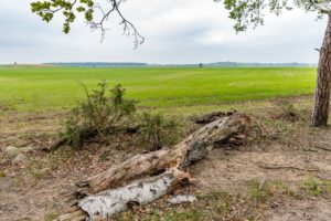 Landschaft Mecklenburg Vorpommern