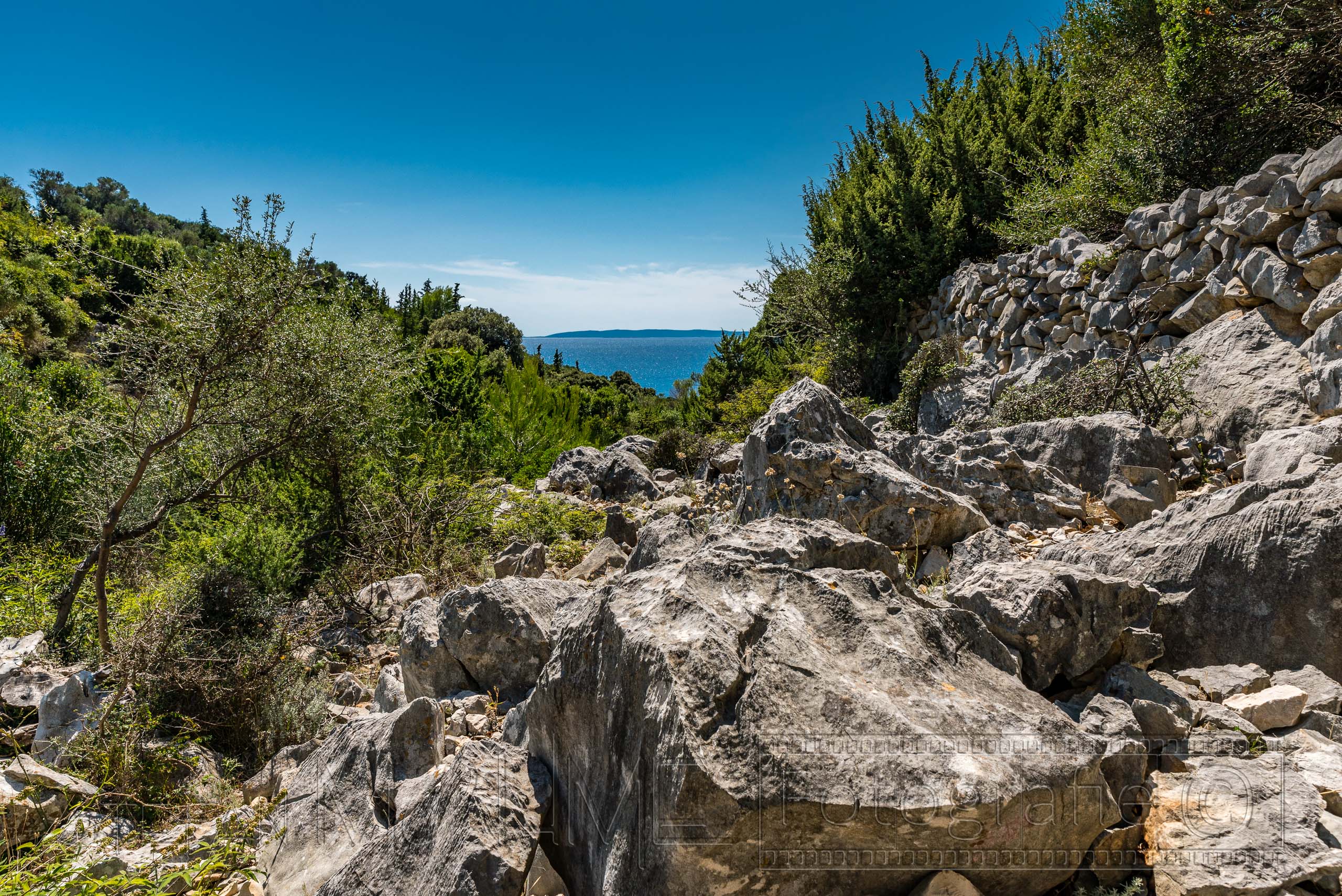 Kroatien Pag, Wanderung durch den Park der Olivenbäume in Lun.