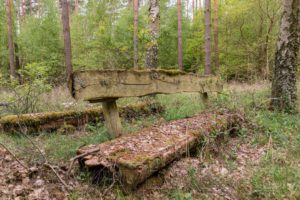 Landschaft Mecklenburg Vorpommern