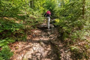 Landschaft Bayrischer Wald