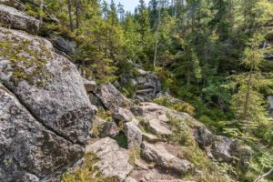 Landschaft Bayrischer Wald