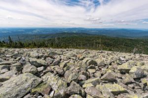 Landschaft Bayrischer Wald