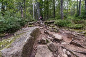 Landschaft Bayrischer Wald