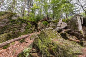 Landschaft Bayrischer Wald