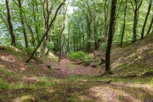 Rügen Nationalpark Jasmund