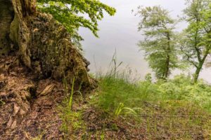 Rügen Nationalpark Jasmund