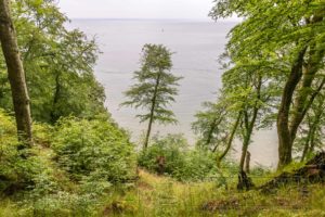 Rügen Nationalpark Jasmund