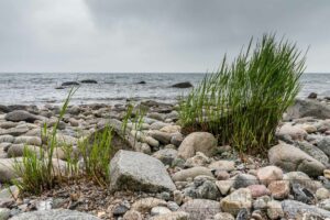 Rügen Landschaft um Lohme