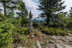 Bayrischer Wald Landschaft um den Lusen