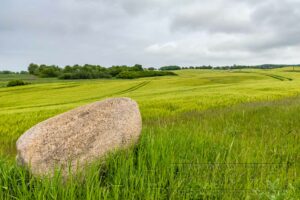 Rügen Landschaft um Lohme