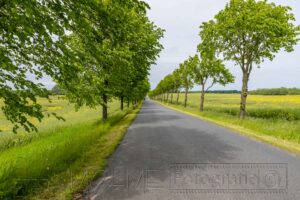 Rügen Landschaft um Lohme