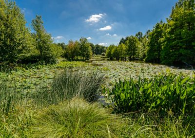 Landschaft Natur Europa