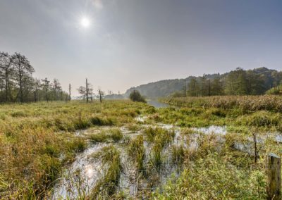 Landschfat Natur Deutschland