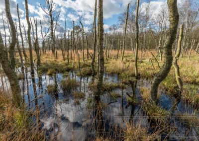 Landschfat Natur Deutschland