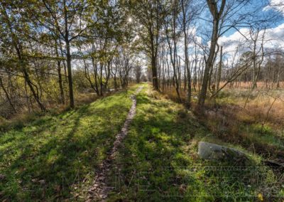 Landschfat Natur Deutschland