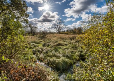 Landschaft Natur Europa