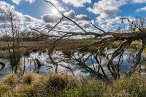 Landschaft Natur Europa