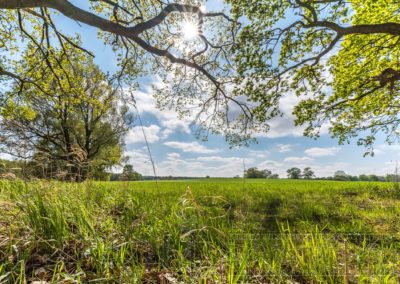 Landschfat Natur Deutschland