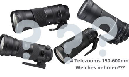 Telezooms 150-600 mm v. Sigma, Tamron und  Nikon, Vorstellung.