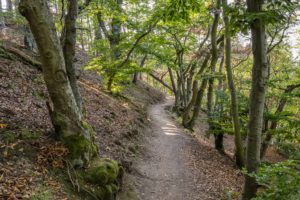 Nationalpark,Kellerwald,Edersee,Landschaft,Natur,Hessen