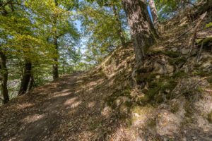 Nationalpark,Kellerwald,Edersee,Landschaft,Natur,Hessen