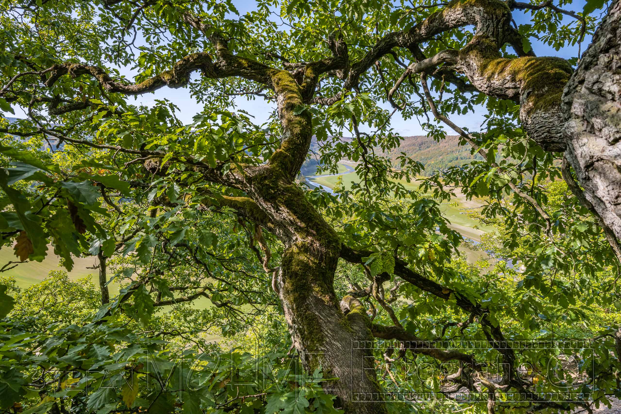 Nationalpark, Kellerwald Edersee, Naturlandschaft