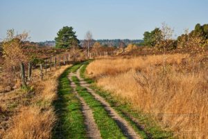 Lüneburger Heide, Kulturlandschaft