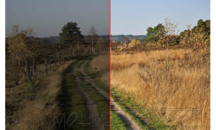 Capture One, mein Bildvergleich mit Lightroom!