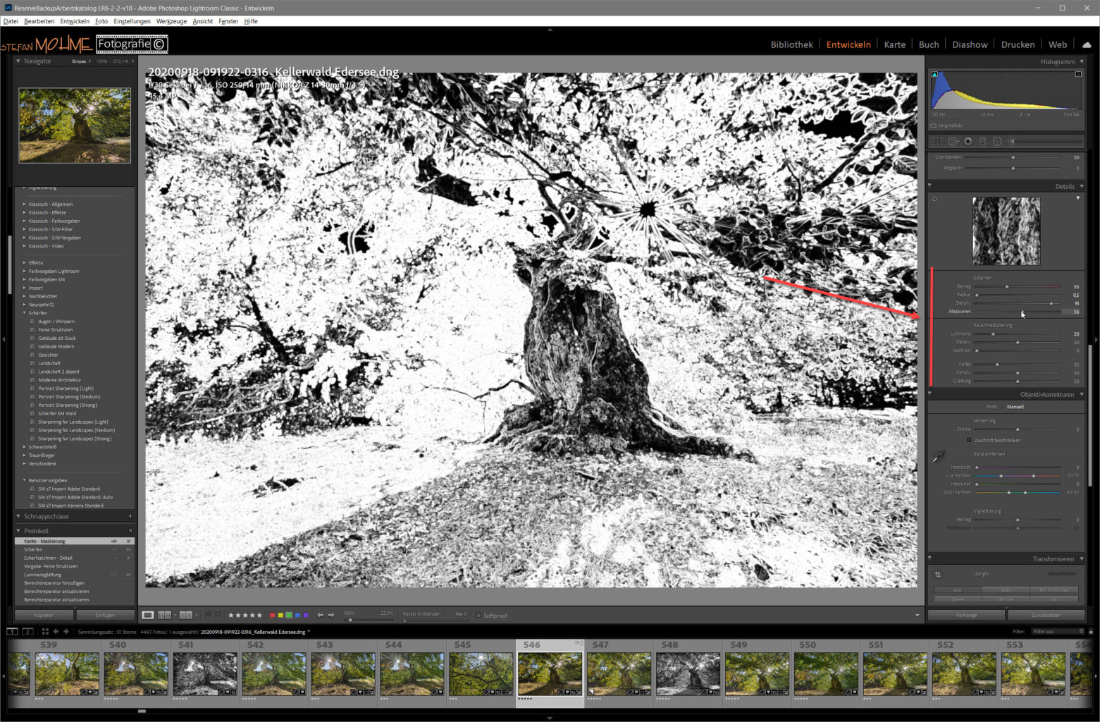 Screenshot Lightroom ,Hutewald ,Making Off